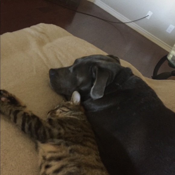 Meet your Posher, Jacki - Picture 6 of 8